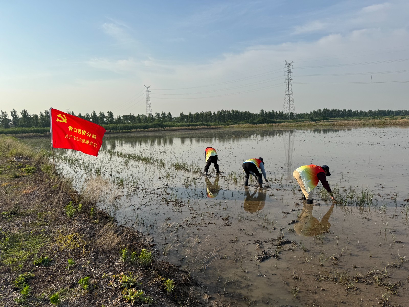 微信圖片_20260610101436_227_98