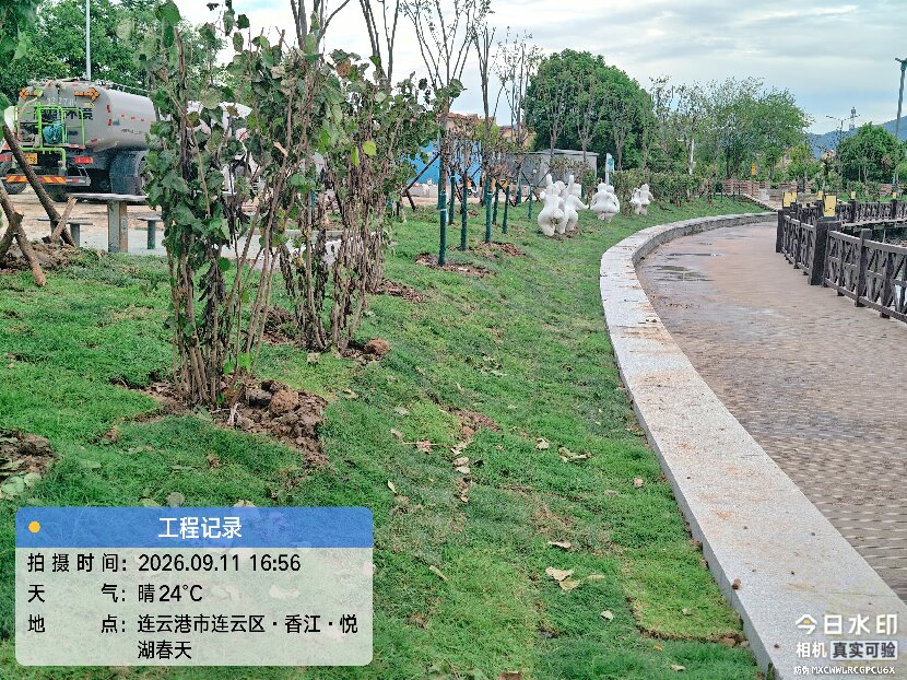 上網(wǎng)1